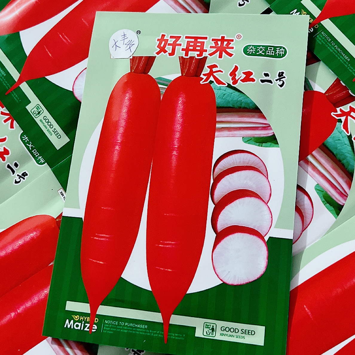 拍一发二 精选杂交天红水萝卜种子