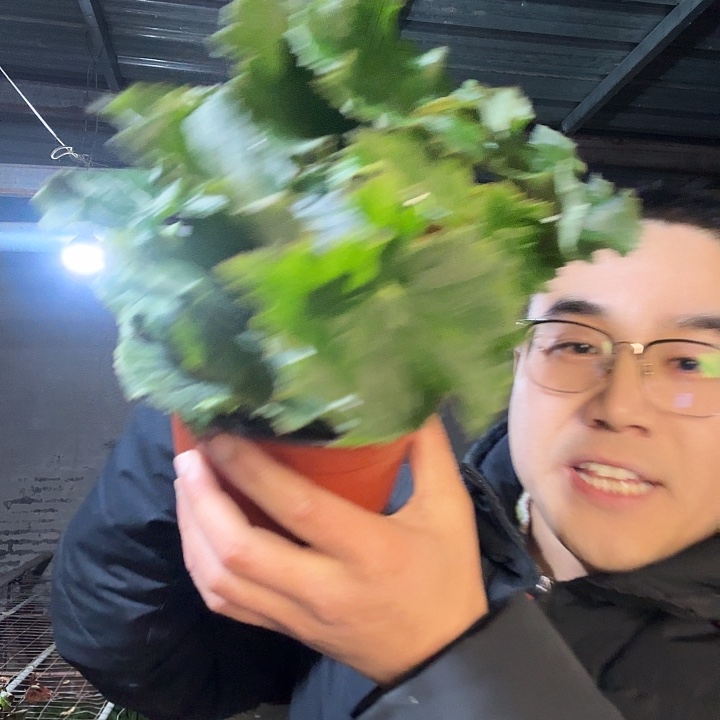 冰***子完全开放红色➕保温