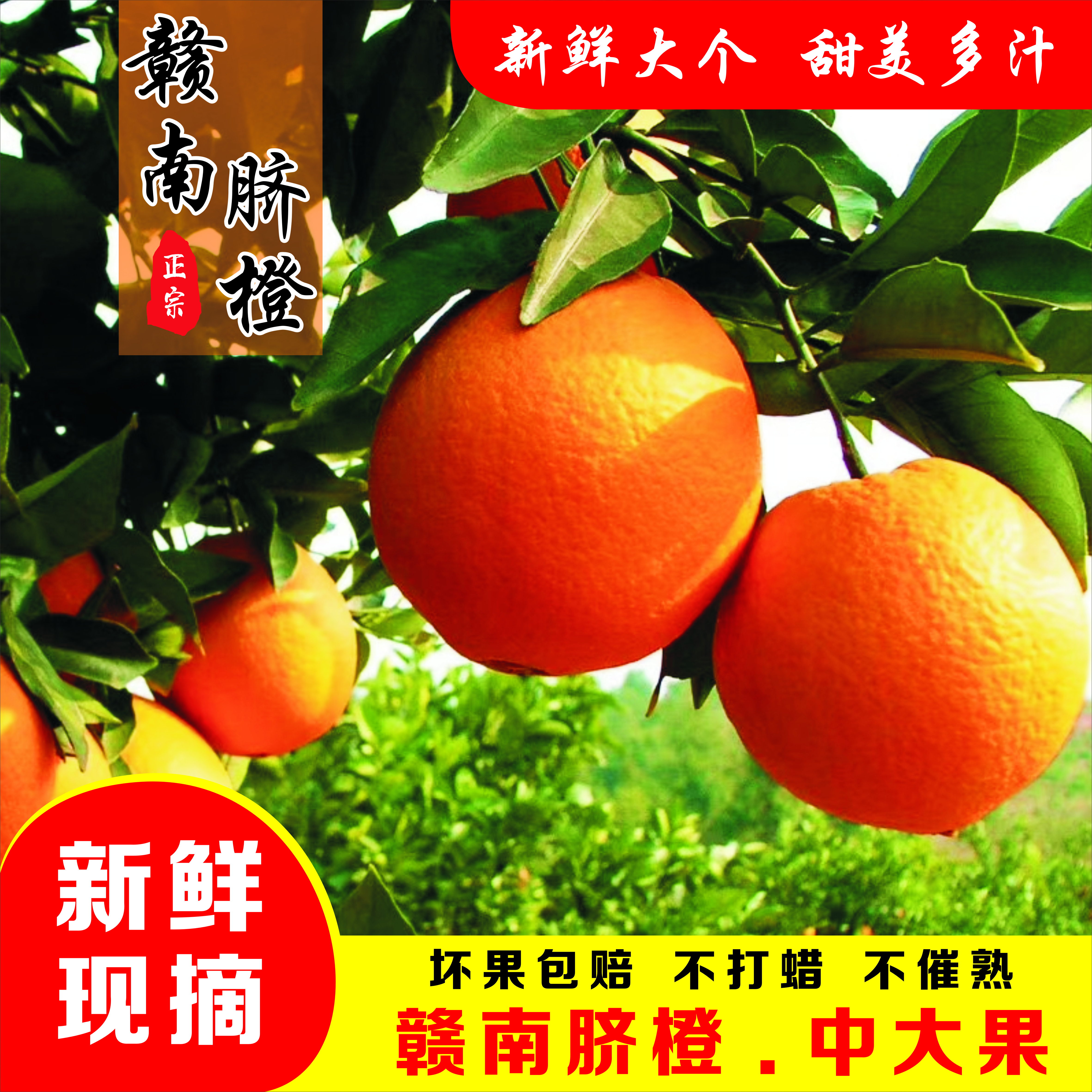 【许诺专属】产地直发 江西赣州赣南脐橙整箱应季新鲜水果手剥橙子