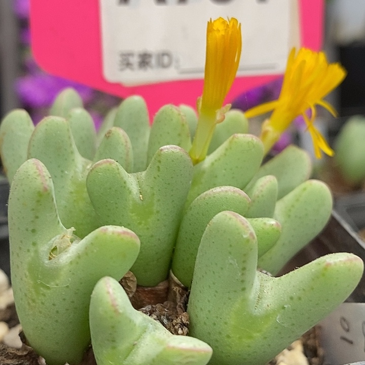 这么多年你一直这样791