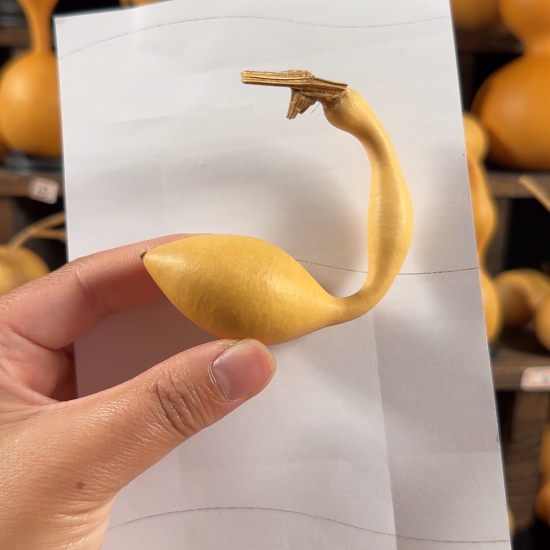 葫芦葫芦葫芦葫芦葫芦