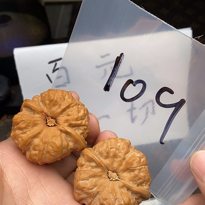 吊坠文玩核桃W70057705705705750705