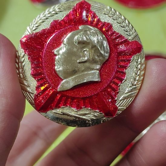 板***3其他普通金属纪念章
