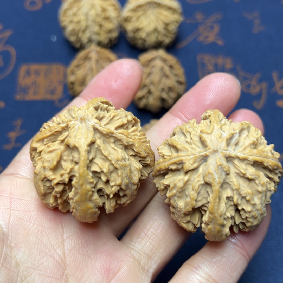 文玩核桃把件秦岭野生植物核桃