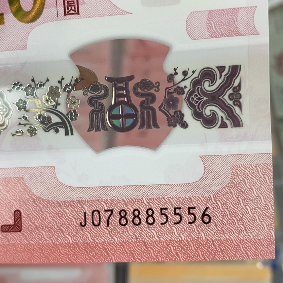 塑料85556……………………………………