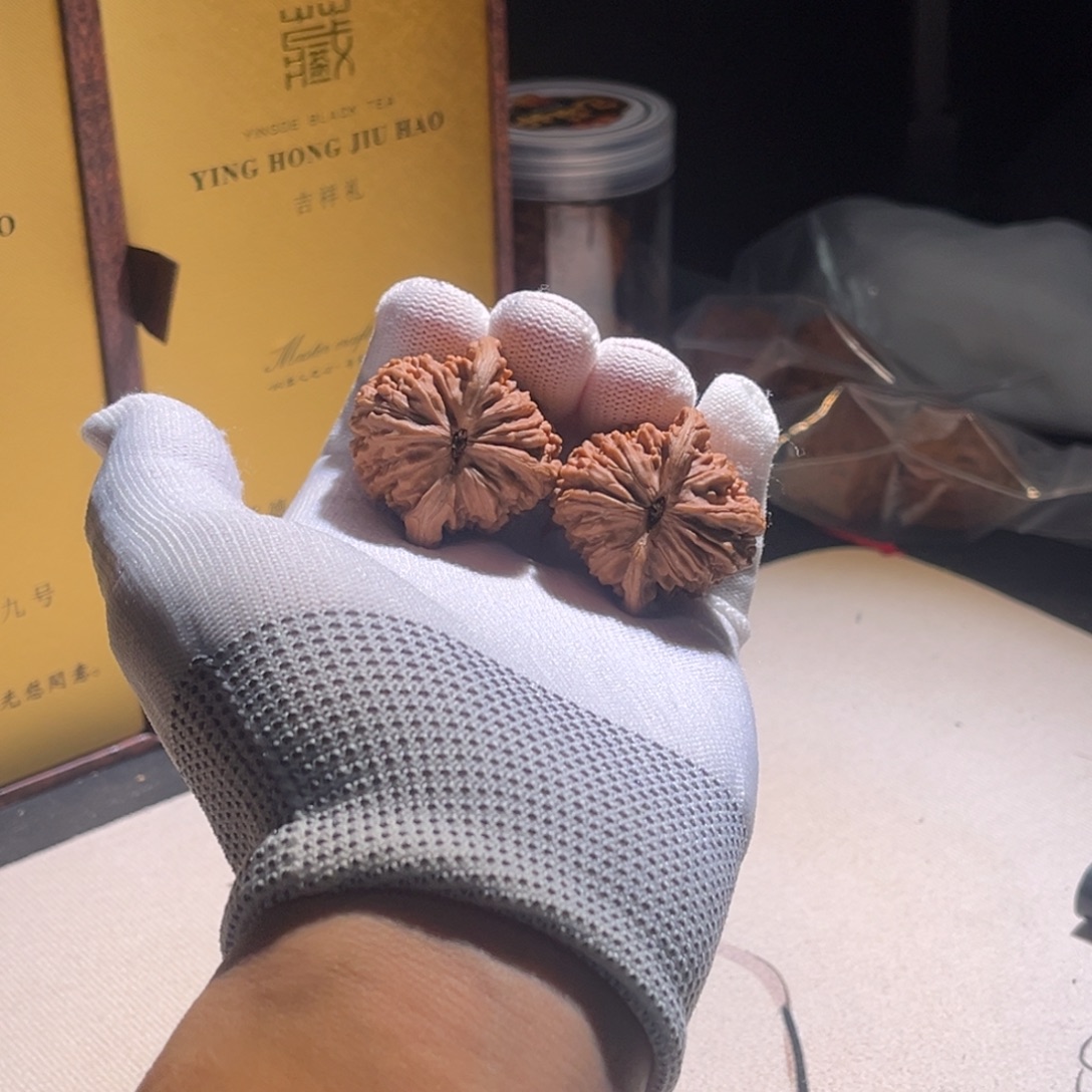 怖***叮楼子楼子楼子楼子扣子 