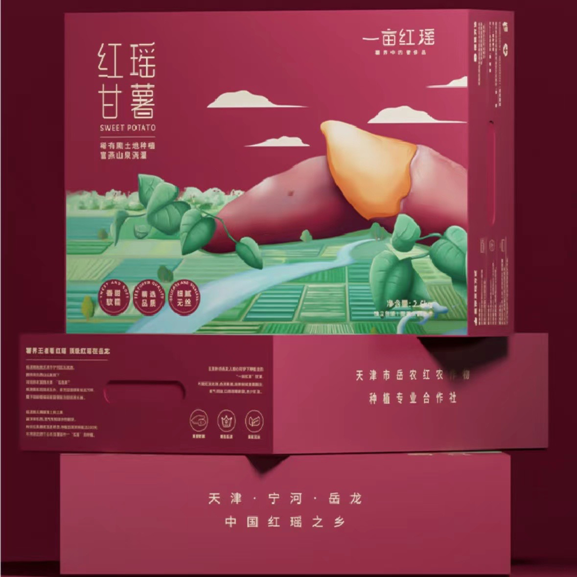 【津沽七里海农品店】岳龙正宗红瑶红薯软糯香甜一亩红瑶 5斤包邮
