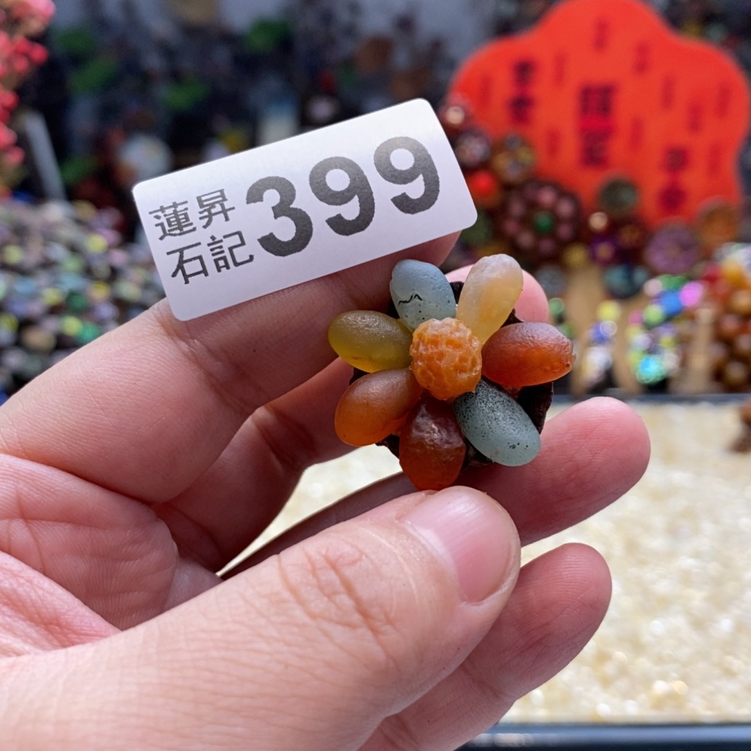 核桃木/黑胡桃（胡桃木）冰*梦399