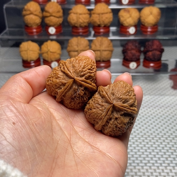 文玩核桃把件8七彩梅花奔