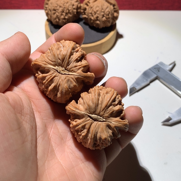 把件文玩核桃炎*白狮子