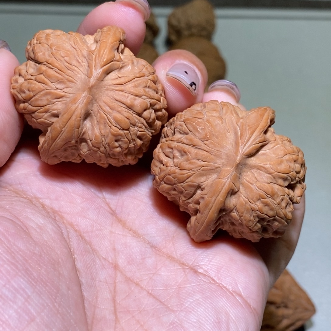 途***河手串/手链核桃血麒麟