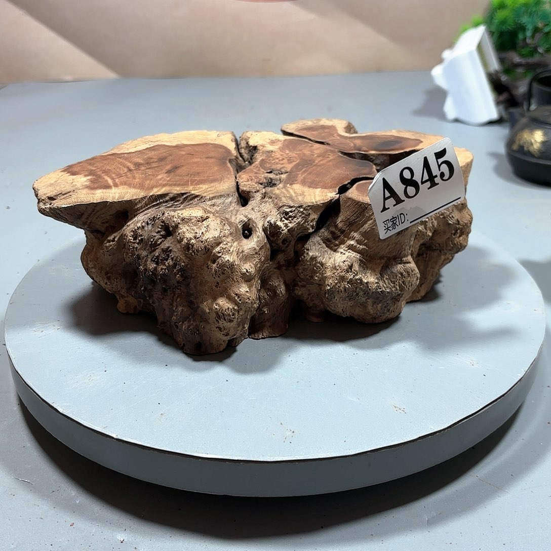 我***8大果紫檀（缅甸花梨）