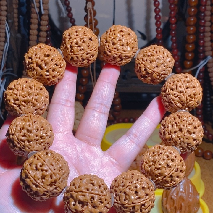 野生多瓣大金刚手持328