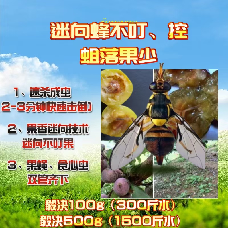 果蝇专用叶面喷施果面光洁促长势