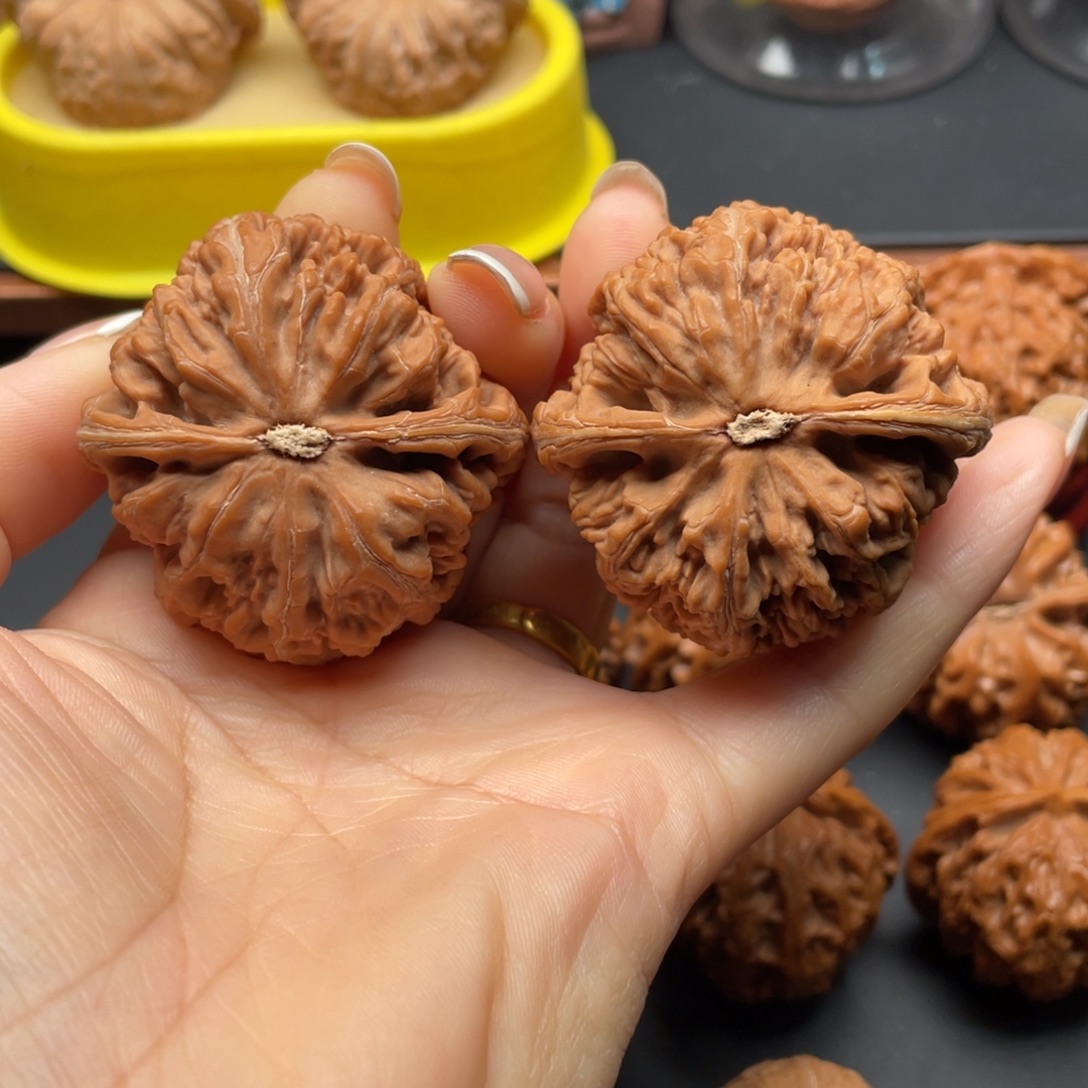 探***6把件文玩核桃粗筋45