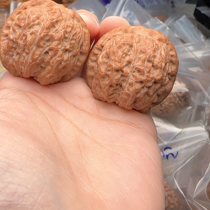 文玩核桃吊坠夏**风血麒麟尖修普