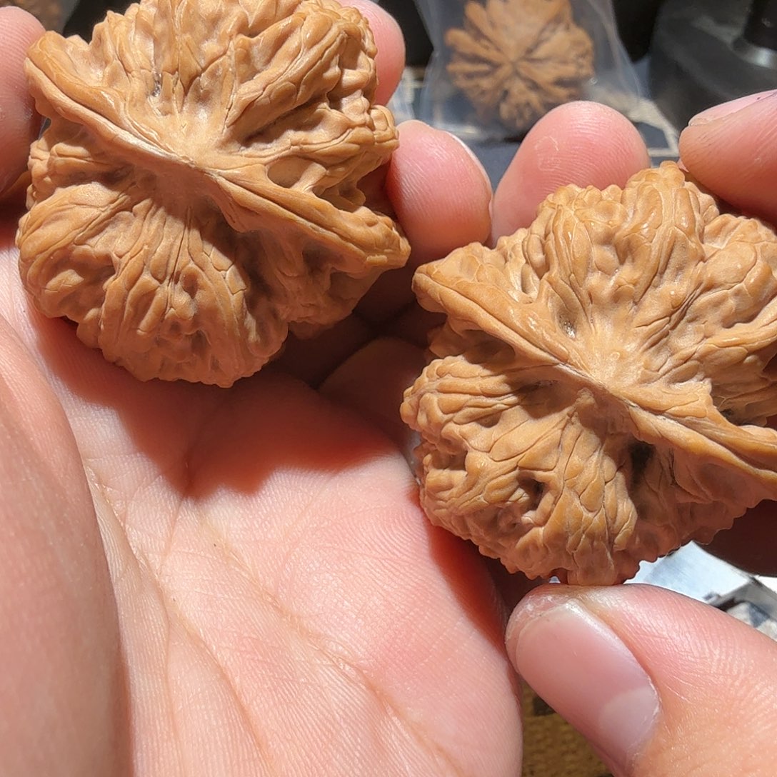 文玩核桃把件幸**⭐远古九龙