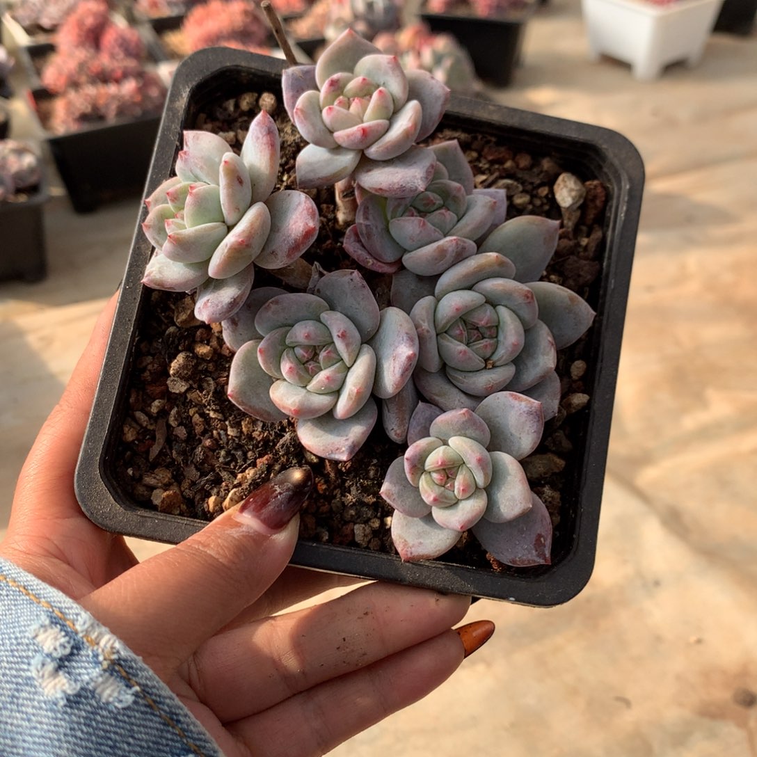 哈哈哈哈哈哈哈16