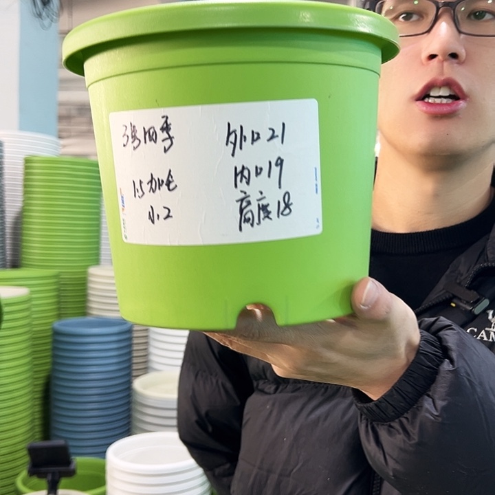 特价3号四季口21高18果绿带托10只