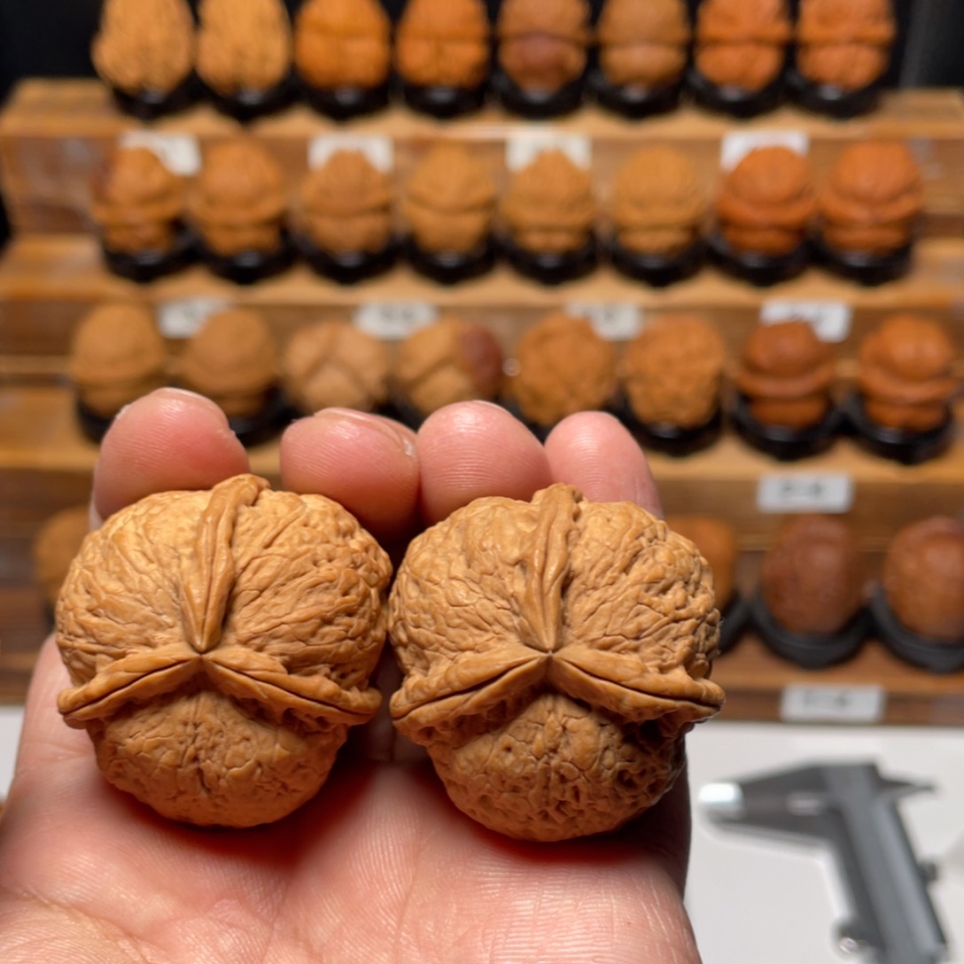 文玩核桃吊坠黄金蟒