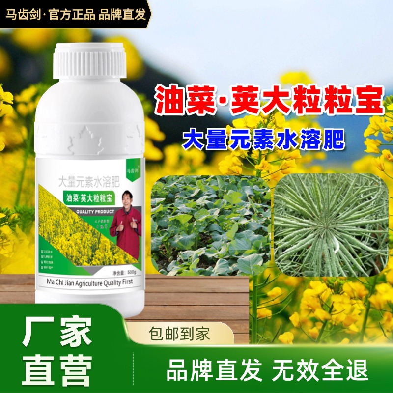 【大量元素肥】油菜荚大粒粒饱抗倒伏籽粒满促花授粉出油高强水溶肥