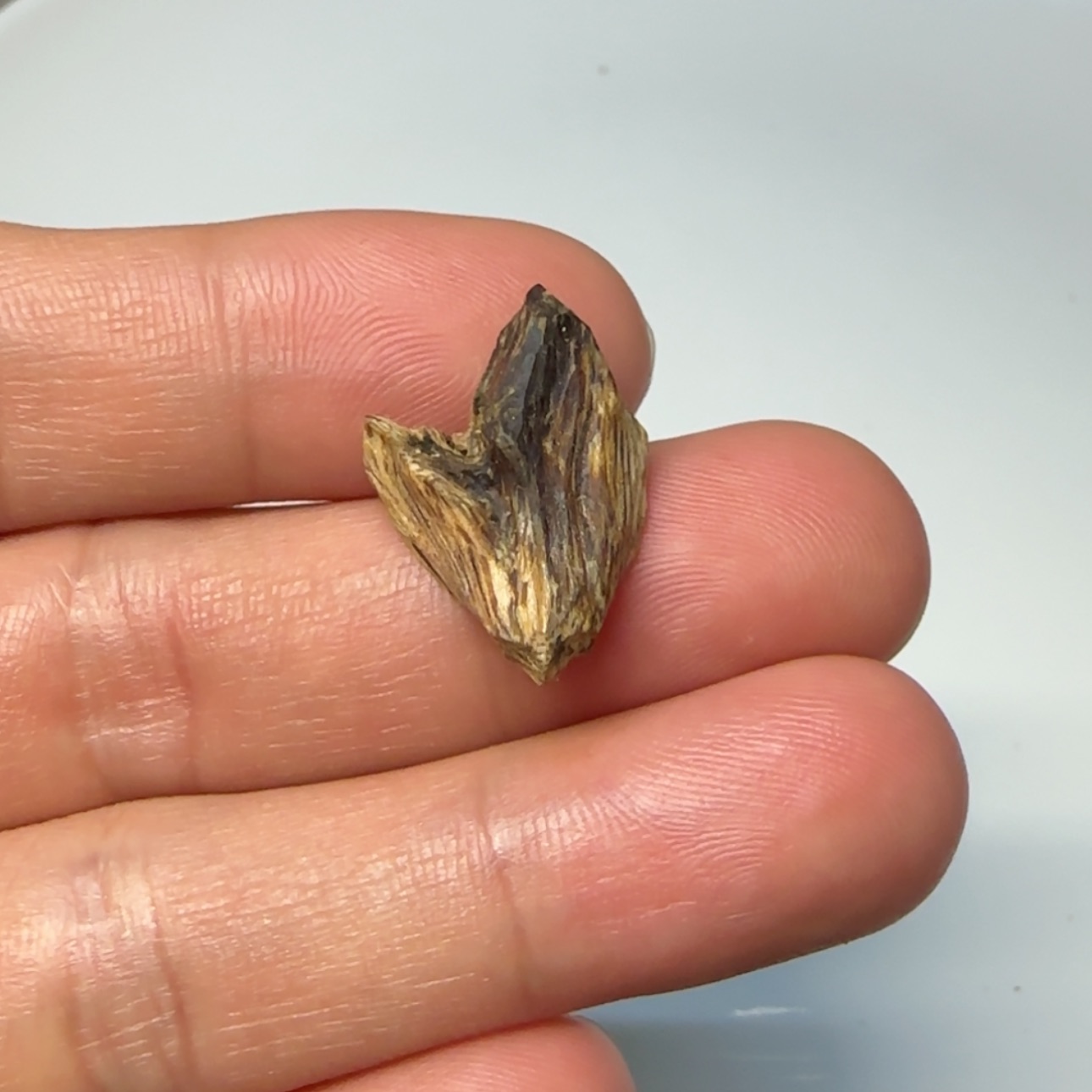 【闪购商品】沉香沉香香囊寒**郎国香系广西博白虎斑香胆0.6g