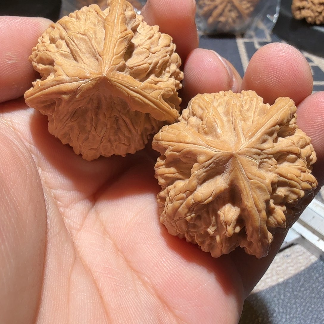 文玩核桃把件薛***?御龙正奔