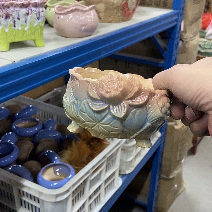 花盆单场满9.9发12×7