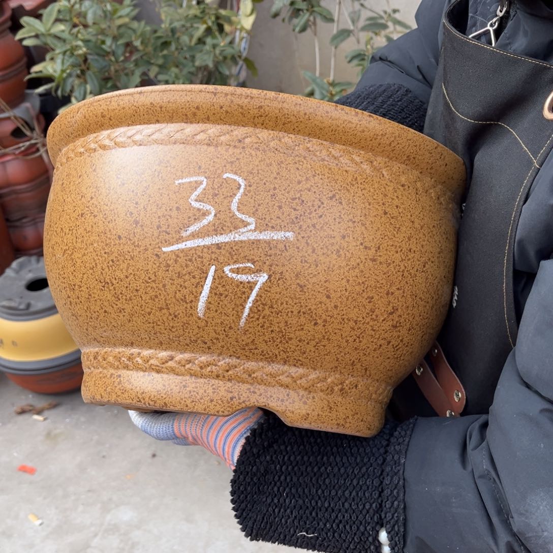 紫砂花盆盆景艺术