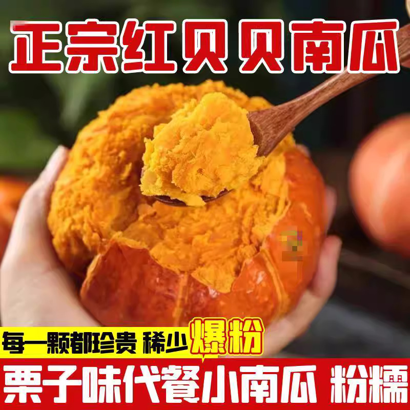 【全店满5包包邮】高产红栗南瓜种子红蜜板栗贝贝南瓜四季蔬菜种孑