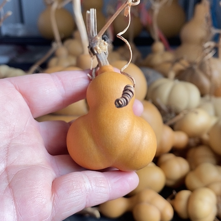 好*葫芦的颜色是蓝色的