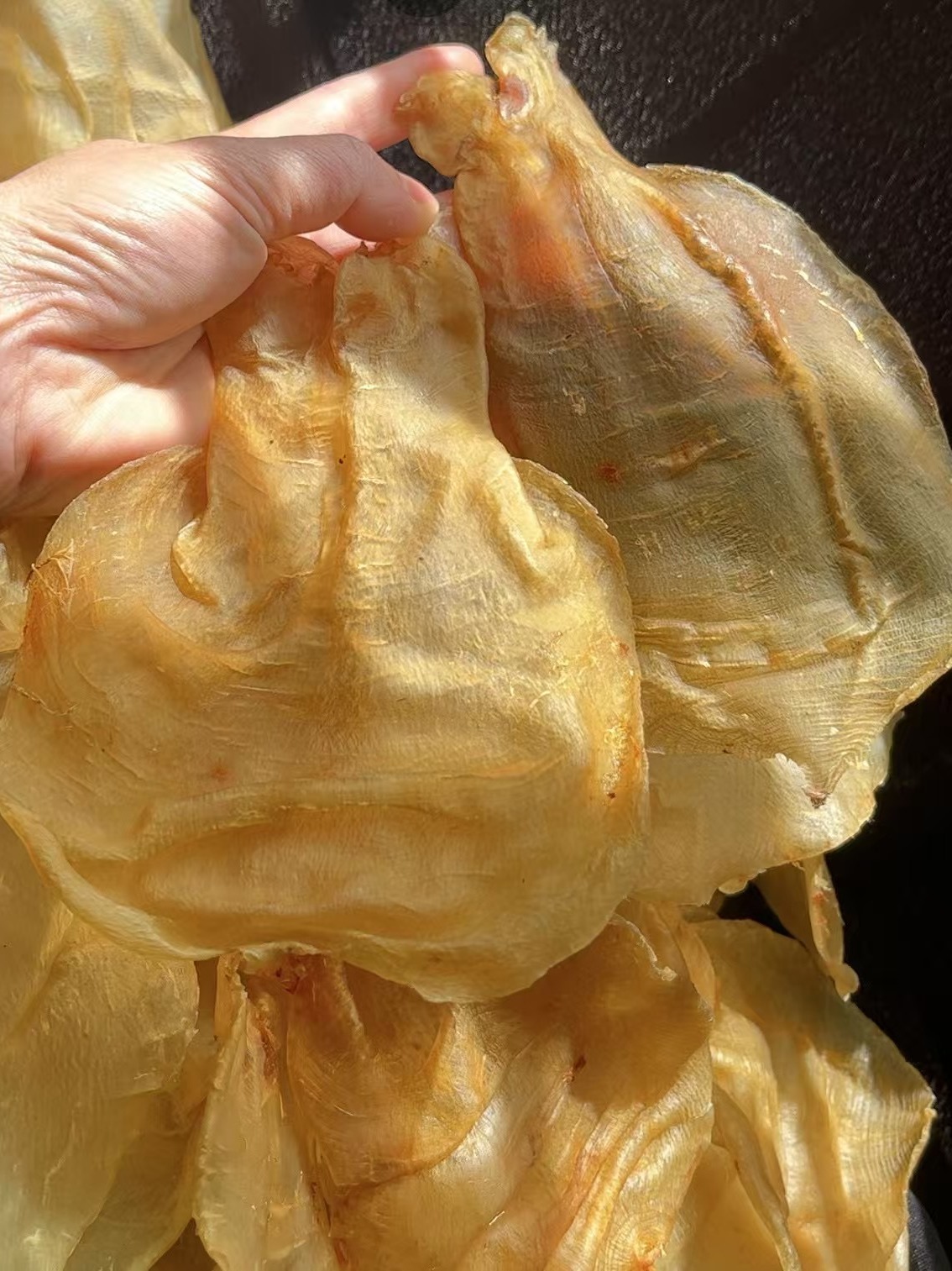 【鱼胶君】22头/斤甲肚鱼胶 250g-500g