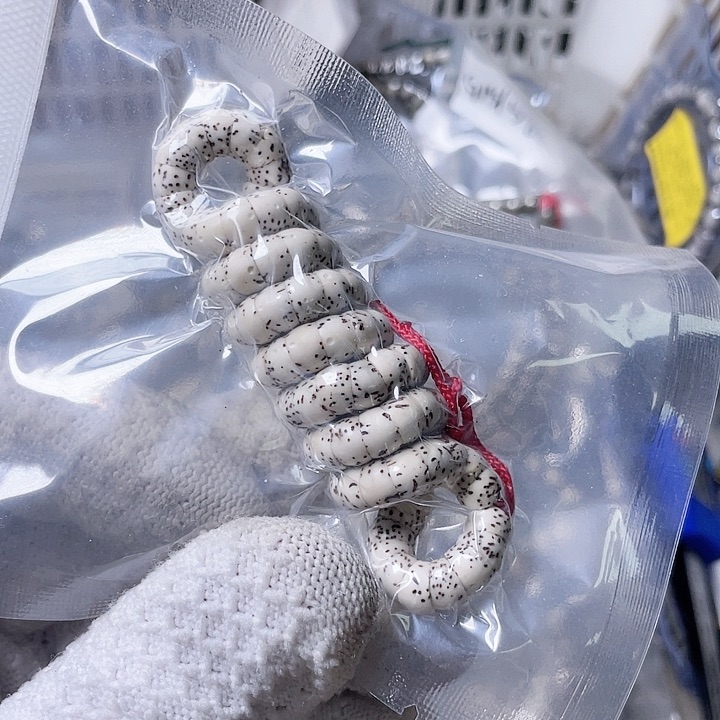 星月菩提手串G291 星月哈哈哈7