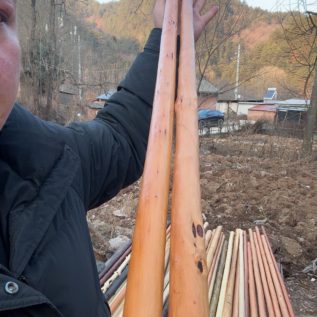 专***暧好好好好好好好好好好