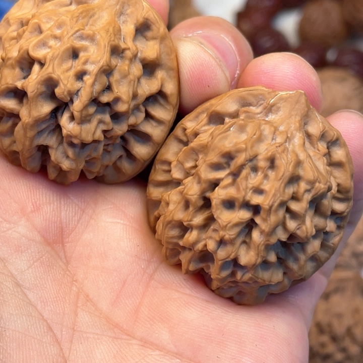 核桃其他秦岭核桃秦闷