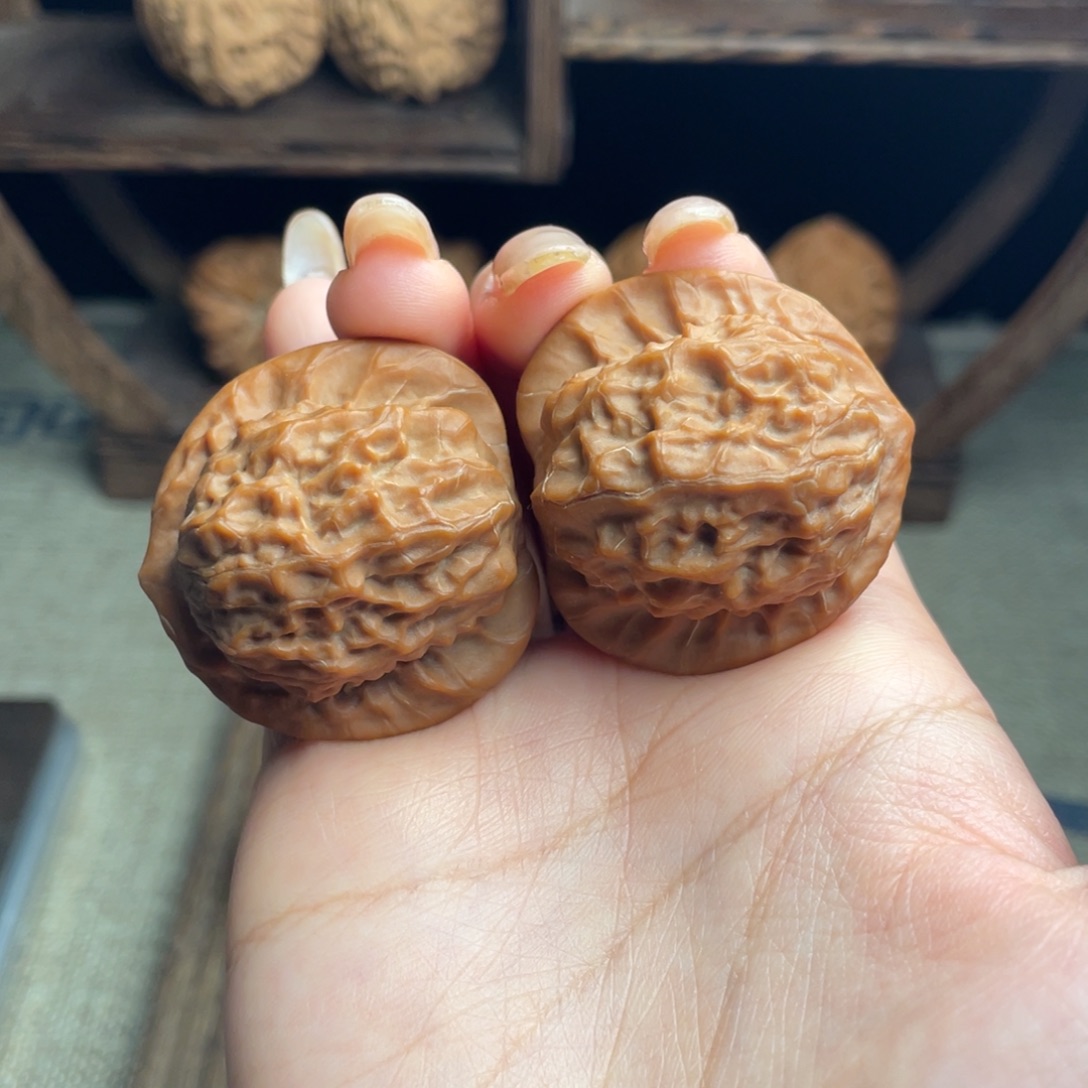 木质瓷娃娃37 全品白茬精配毕业红皮