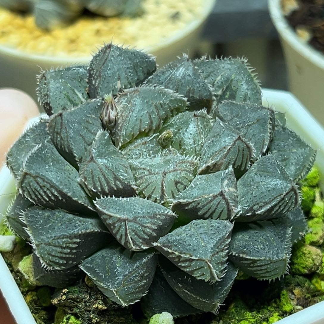 恭喜发财大吉大利0424