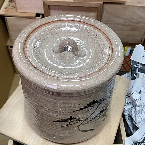 紫砂哈哈哈哈哈哈哈哈