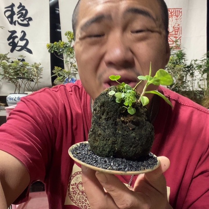 无花朵退款拉黑拉黑115