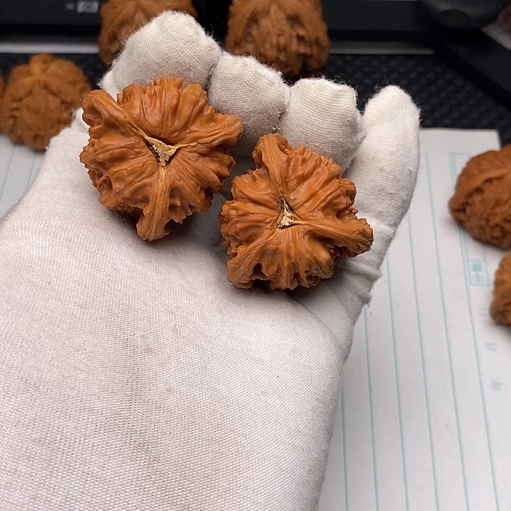 核桃手串/手链白狮子14