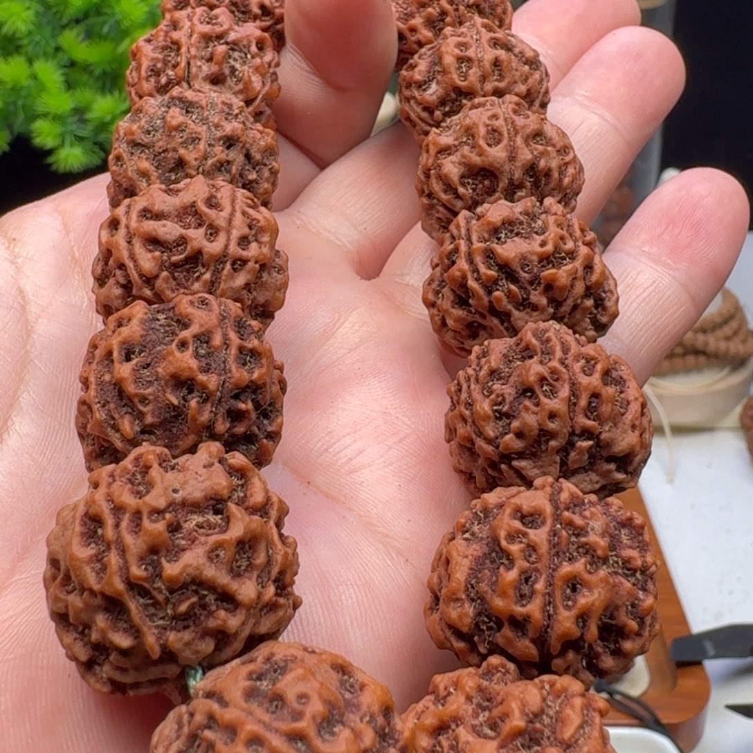 金刚菩提手串深沟大粗筋