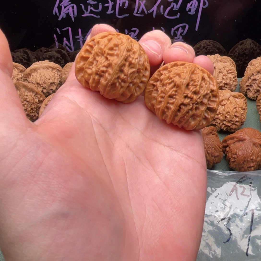 把件核桃37小白狮子，已经打底