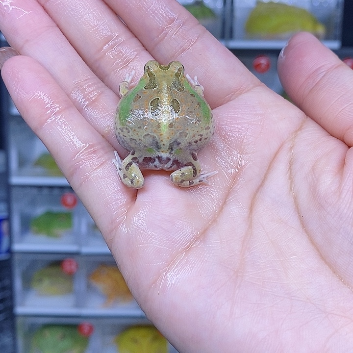 特价秒杀特价原价