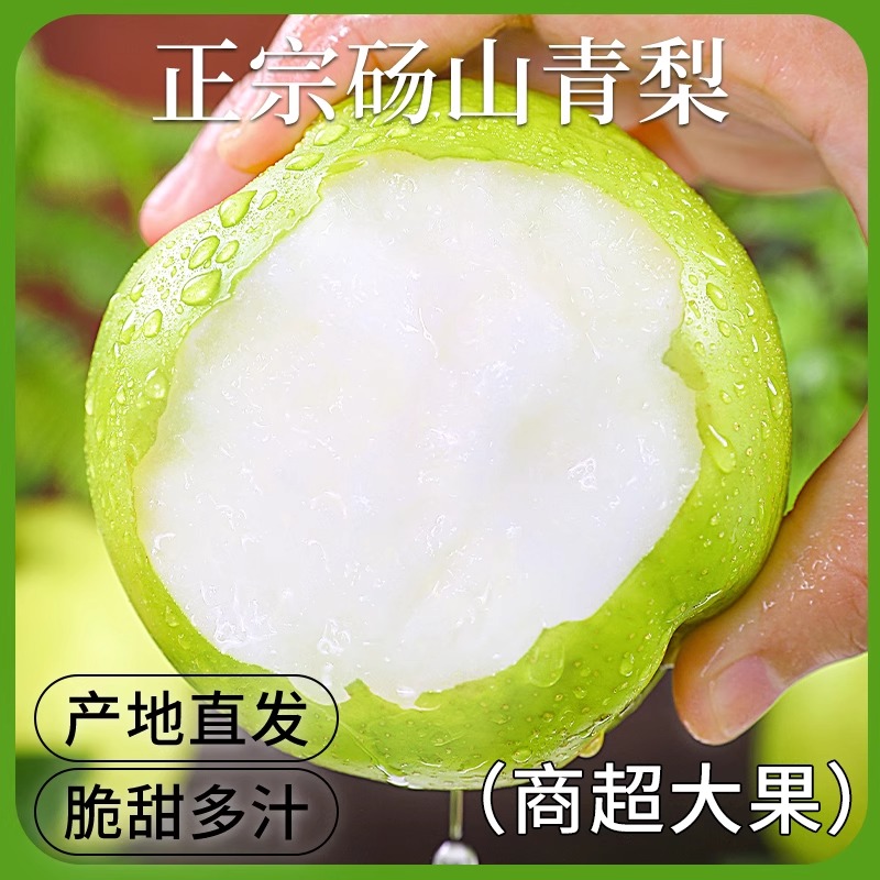 正宗砀山梨 新鲜现摘青脆蜜梨皇冠梨脆甜无渣多汁爽口当季头茬梨安徽省
