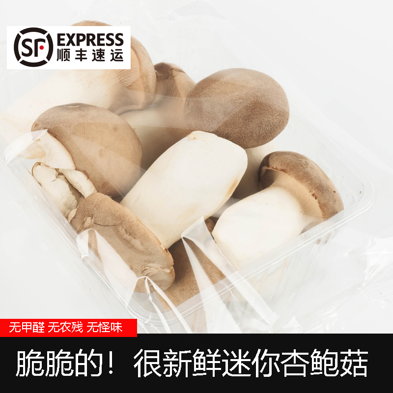 鲜嫩锁鲜[迷你杏鲍菇]无农残脆爽可煲汤食用顺丰发货小杏鲍菇新鲜