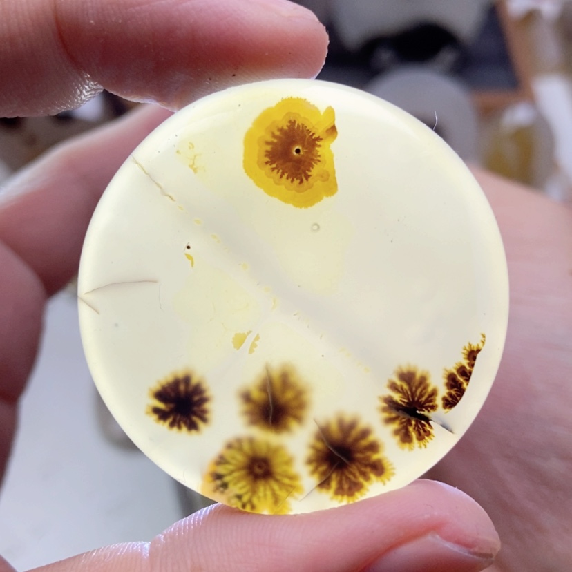 【闪购商品】玛瑙/玉髓颈饰未镶嵌