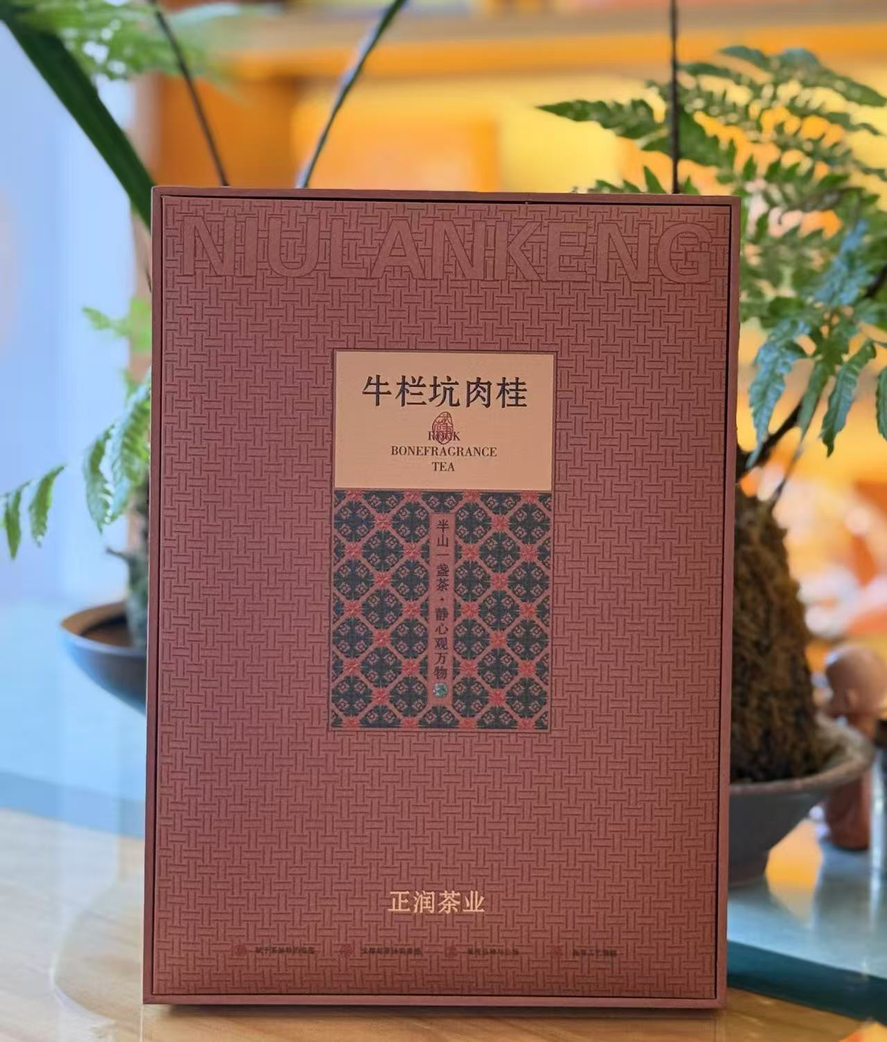 高端牛栏坑肉桂正岩商场少量有货肉桂终点站