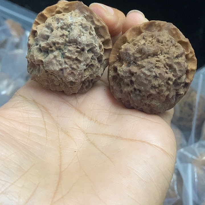 木质类云南铁核桃基地40