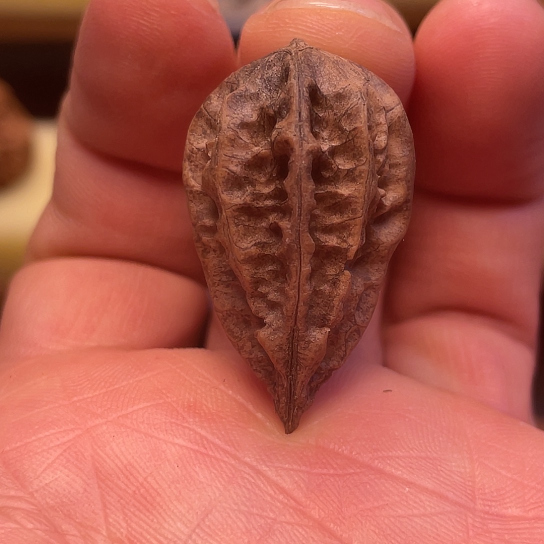 H***e吊坠猴头核桃文玩核桃水滴2颗