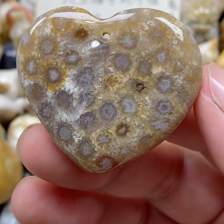 颈饰未镶嵌硅化珊瑚（珊瑚玉）有瑕